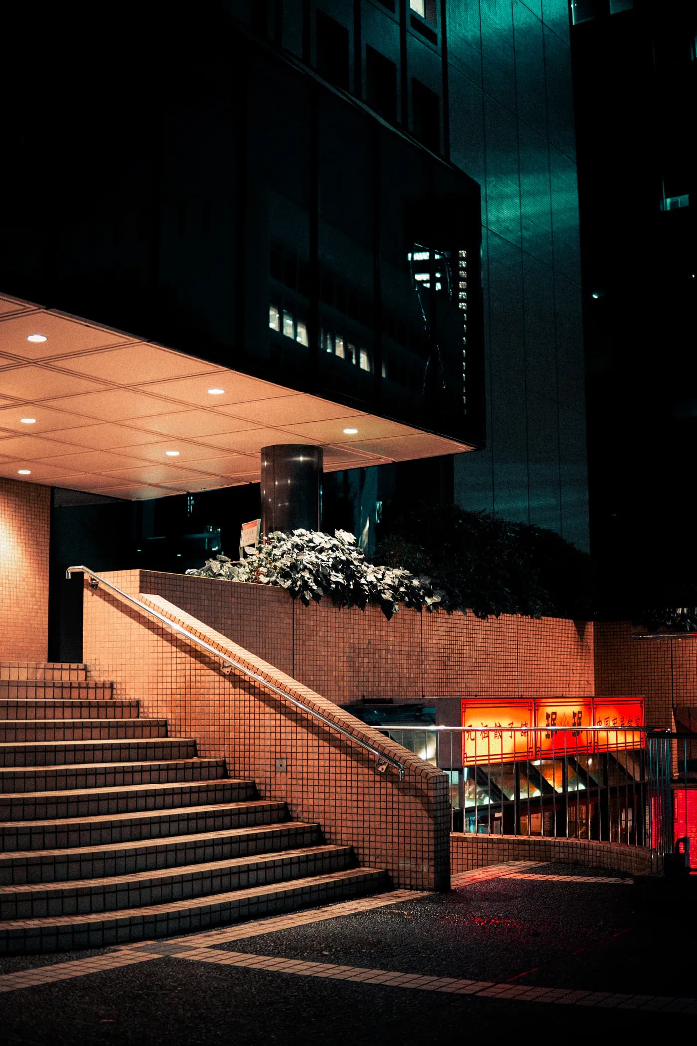 Tiled steps and a warm entrance on a Tokyo street at night